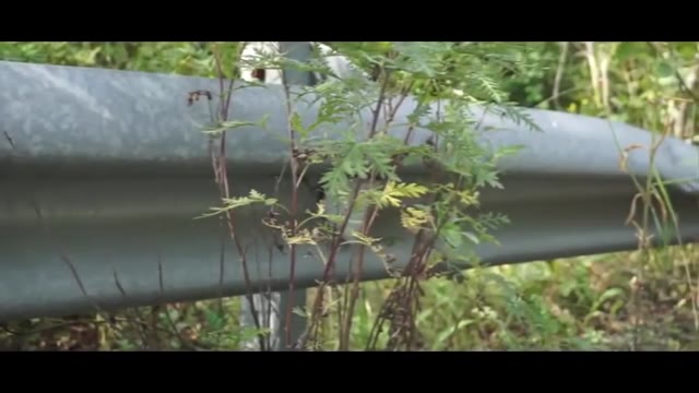 Занижаемся Установка пружин RSR EP 02 Mark ll GX81