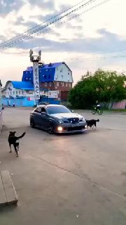 Заряженная Toyota Verossa | JDM |
