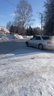 турер топчанский