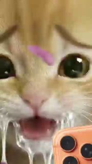 Видео TRD Bobiki