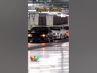 Маркообразные это сила 🙌
