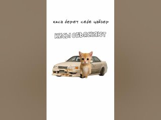 Какая она Тойота Чайзер?